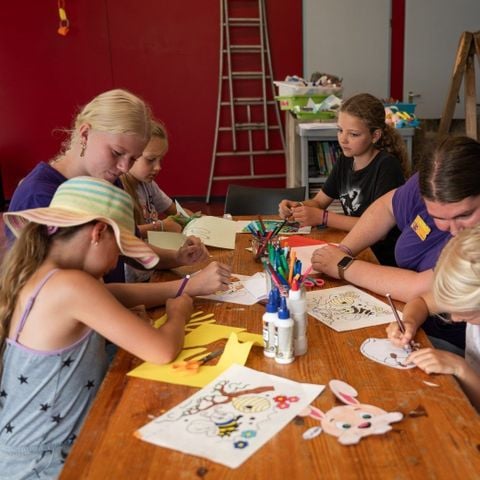 Duincamping de Lepelaar - Schagen - Afbeelding N°3