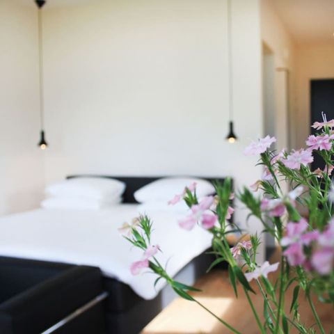 UNIEKE ACCOMMODATIE 2 personen - Ryd Tiny House Cabin