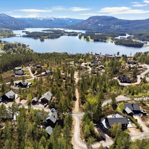 Fjord Rentals - Telemark - Afbeelding N°4
