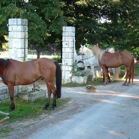 Camping Brantôme Far Ouest - Dordogne - Afbeelding N°3
