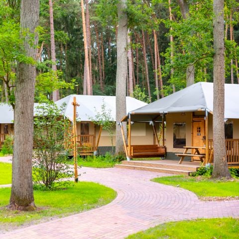 Safaritent 6 personen - Tongasoa Lodge