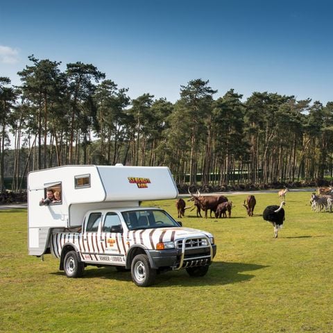 Accommodatie 4 personen - Ranger
