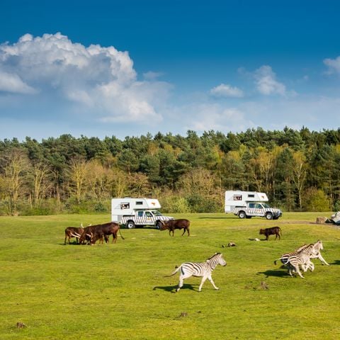 Lodge 4 personen - Ranger