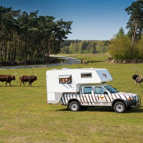 UNIEKE ACCOMMODATIE 4 personen - Ranger