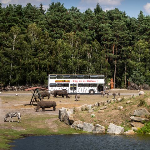 Serengeti Park - Nedersaksen - Afbeelding N°4