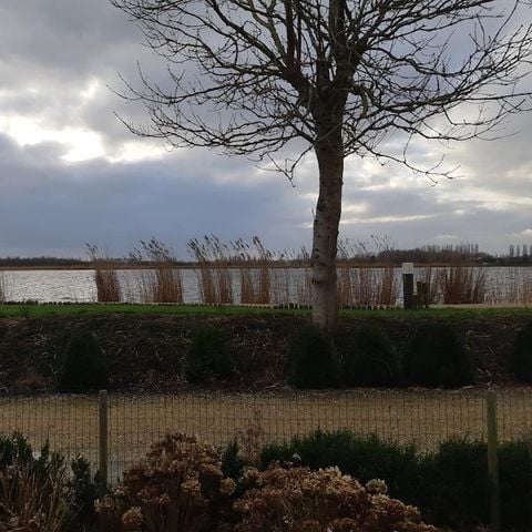 Bungalow 4 personen - Wilgenroos - Reigerlaan 202