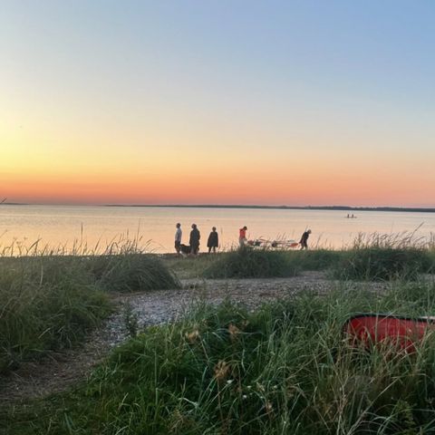 Vodatent Hvalpsund Familie Camping - Sjaelland - Afbeelding N°6
