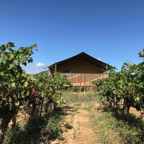 Safaritent 6 personen - incl. sanitair