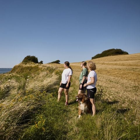Vodatent Emmerbølle Strand Camping - Zuid-Denemarken - Afbeelding N°4