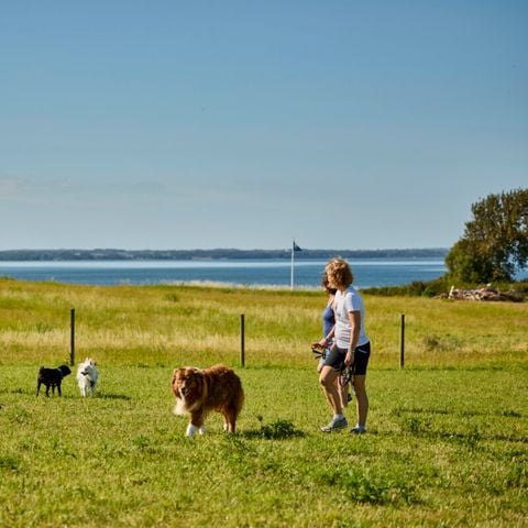 Vodatent Emmerbølle Strand Camping - Zuid-Denemarken - Afbeelding N°3