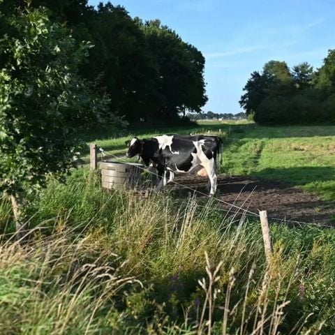 Vodatent Camping Hunze Bulten - Aa en Hunze - Afbeelding N°6