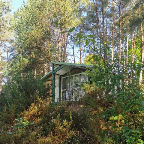 Chalet 5 personen - Bungalow, open naar buiten