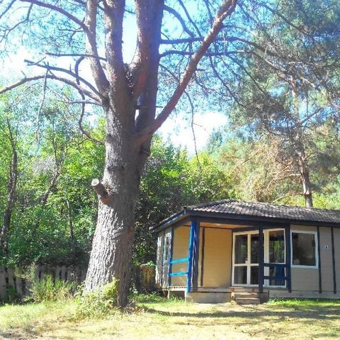 Chalet 5 personen - Ruime bungalow