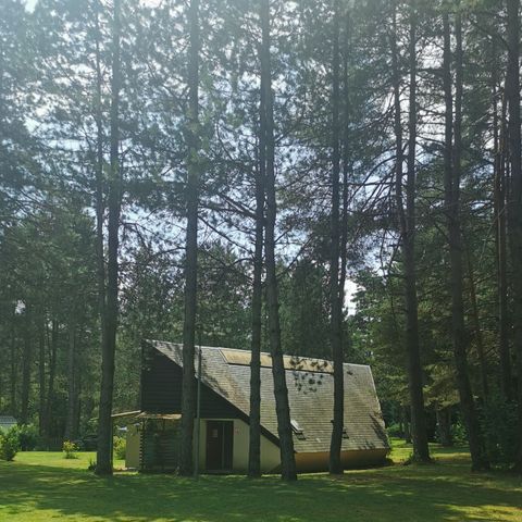 Tent 4 personen - Bengaals" conversie