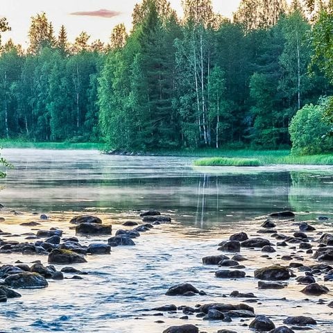 Vaikko Riverside Resort - North Karelia - Afbeelding N°3