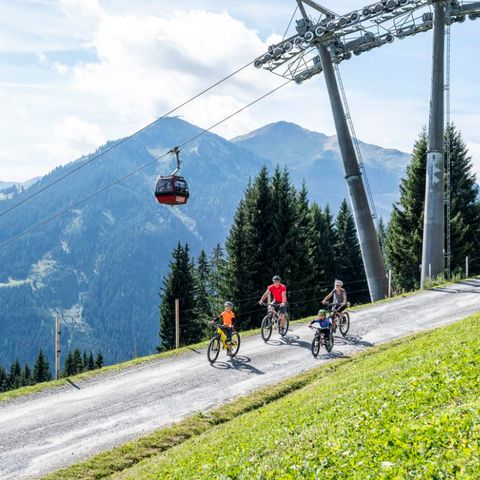 Landal Alpine Lodge Lenzerheide - Mittelbünden - Afbeelding N°3