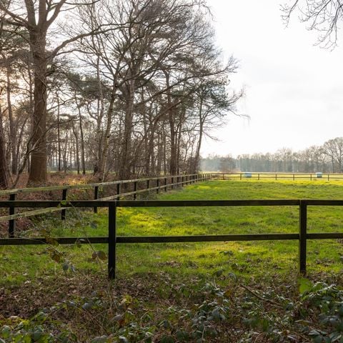 Chalet 6 personen - Renshorst