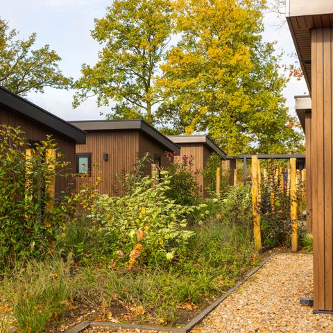 Chalet 6 personen - Renshorst