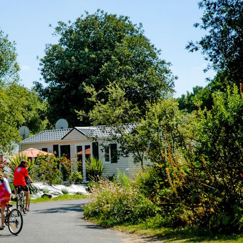 Camping île Blanche - Ile de Ré - Charente-Maritime - Afbeelding N°6