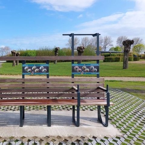 Kustpark Nieuwpoort - West-Vlaanderen - Afbeelding N°6