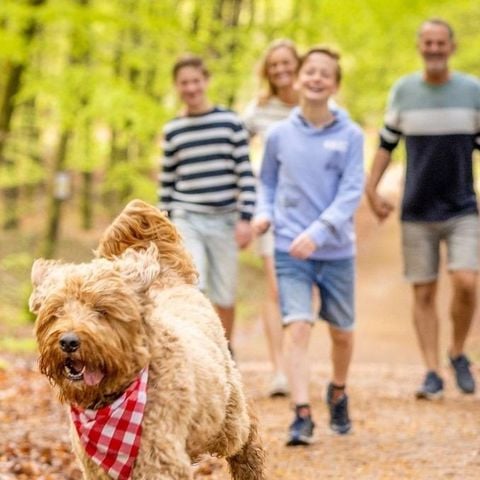 Ardennen Camping Bertrix - Belgisch-Luxemburg - Afbeelding N°5