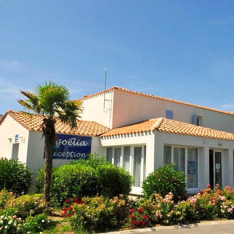 Résidence Goélia La Palmeraie - Charente-Maritime - Afbeelding N°3