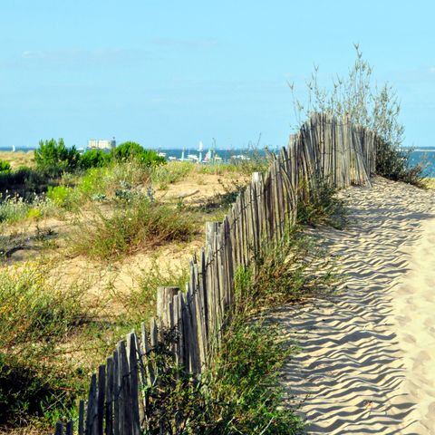 Résidence Goélia La Palmeraie - Charente-Maritime - Afbeelding N°2