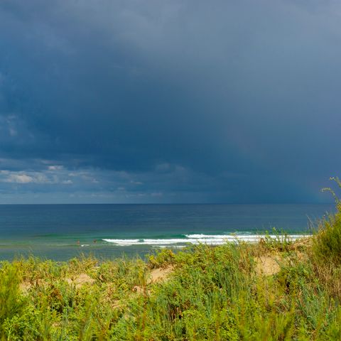 Résidence Goélia Les Jardins de l'Oyat - Landes - Afbeelding N°6