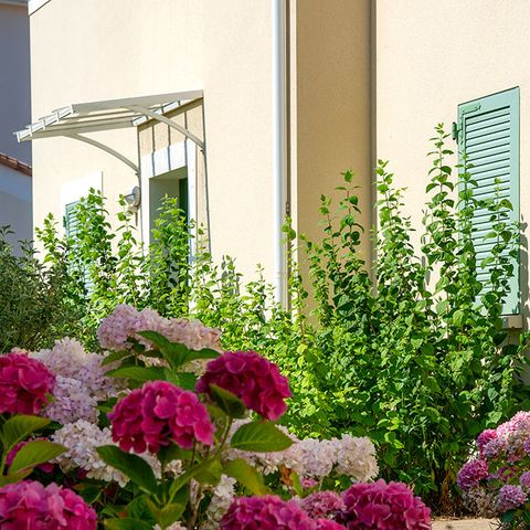 APPARTEMENT 8 personen - G/100_4 STUKS 8 PERSONEN