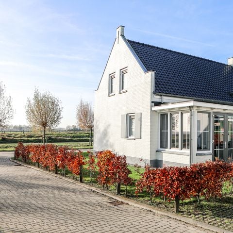VAKANTIEHUIS 8 personen - Wolphaartsdijk - 9