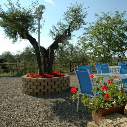 Vodatent Agricamping Romita - Florence - Afbeelding N°3