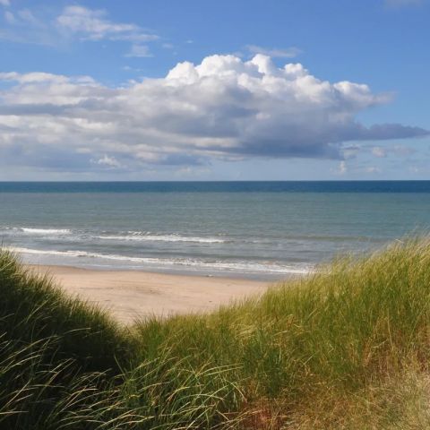 Vodatent Tornby Strand Camping - Noord-Jutland - Afbeelding N°3