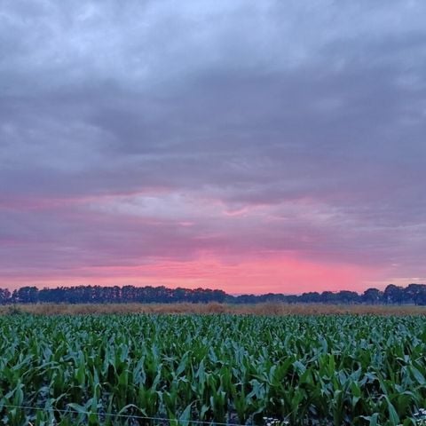Vodatent Boerderijcamping het Katreel - Haaksbergen - Afbeelding N°6