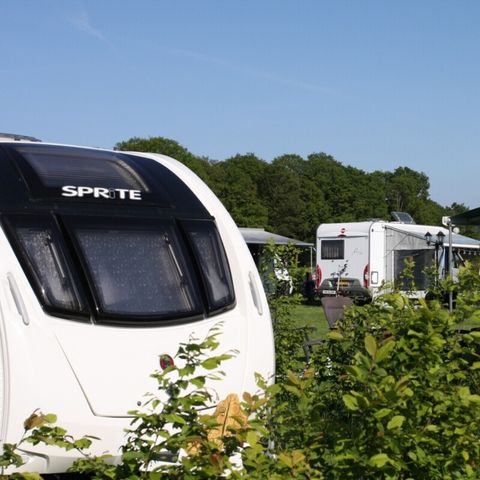 Vodatent Boerderijcamping het Katreel - Haaksbergen - Afbeelding N°3