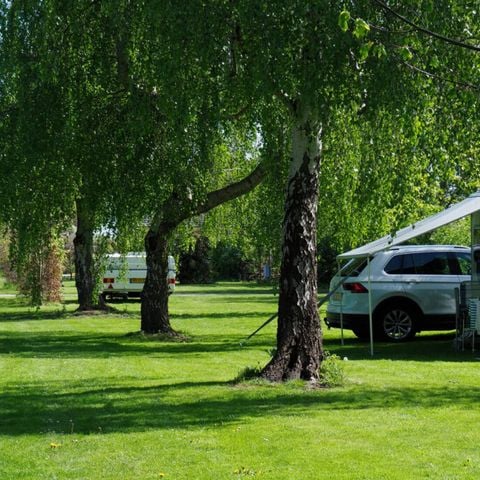 Vodatent Camping de Boerenzwaluw - Hollands Kroon - Afbeelding N°6