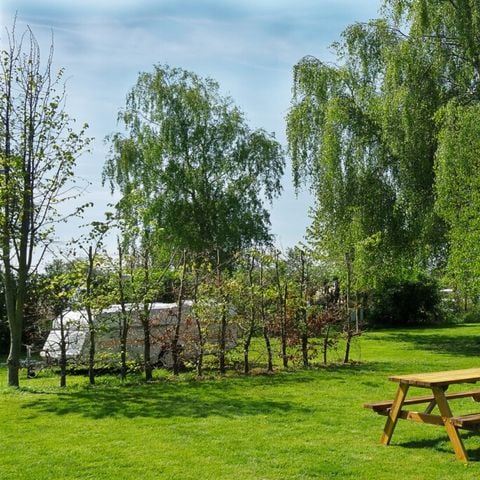 Vodatent Camping de Boerenzwaluw - Hollands Kroon - Afbeelding N°4