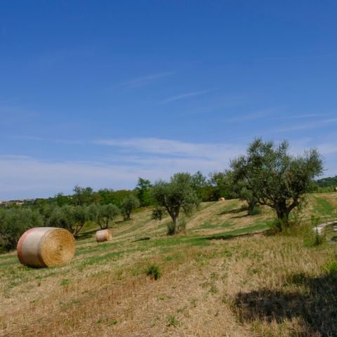Vodatent Camping Mar y Sierra - Pesaro-Urbino - Afbeelding N°3