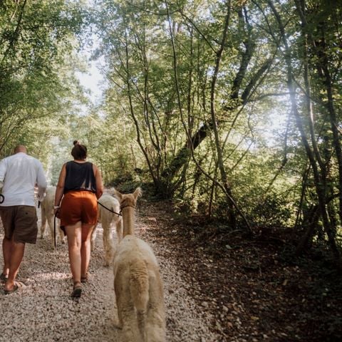 Vodatent Camping Sensazione - Ancona - Afbeelding N°2