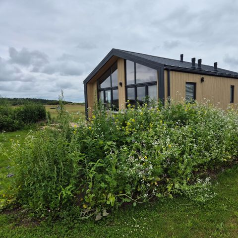 Bungalow 4 personen - De Dommel