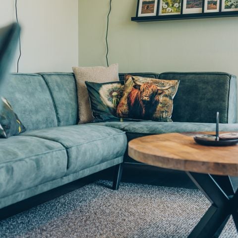 Lodge 4 personen - Veenland