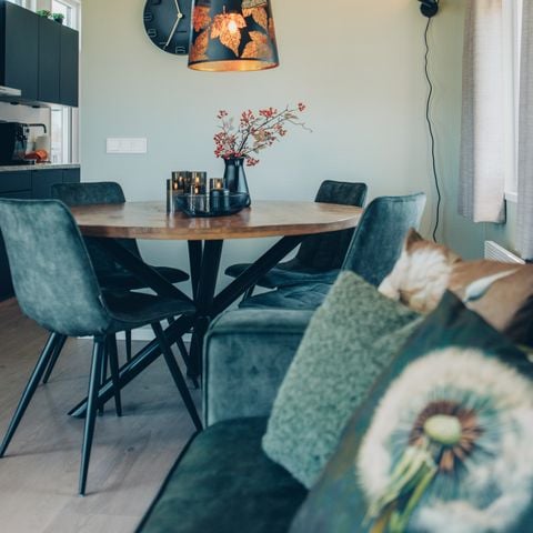 Lodge 4 personen - Veenland