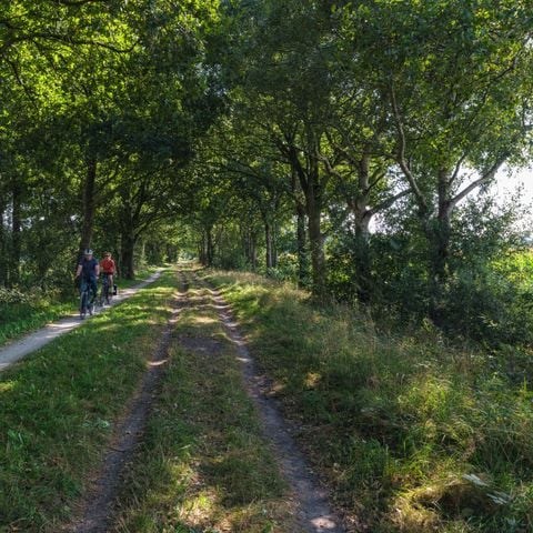 Bungalow 6 personen - Aqua