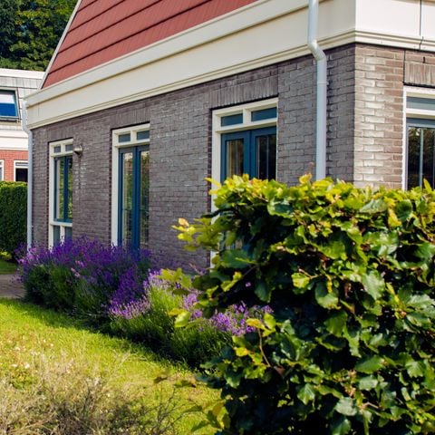 Bungalowparck Tulp & Zee - Noordwijk - Afbeelding N°2