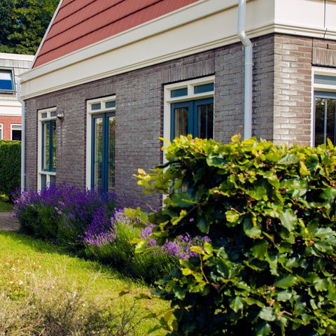 Bungalowparck Tulp & Zee - Noordwijk - Afbeelding N°3