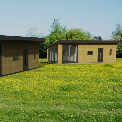 Zomers Buiten - Pekela - Afbeelding N°4