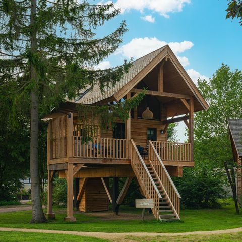Chalet 4 personen - Boomhut met Bubbelbad