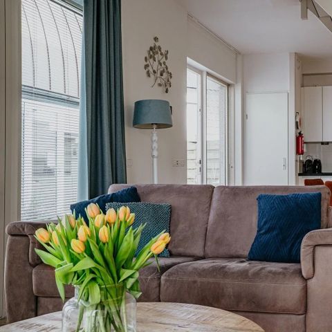 Appartement 3 personen - Duinappartement met Zonneterras