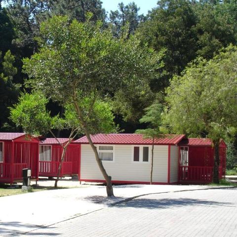 Bungalow 5 personen - MEDITERRANEO