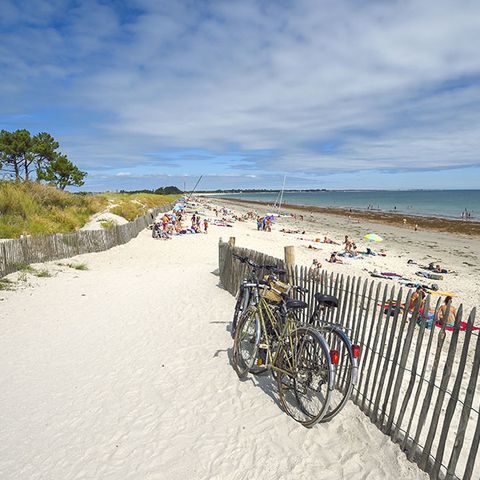 Camping Le Bois d'Amour - Camping Finistère - Afbeelding N°2