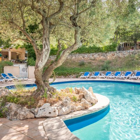 Camping le Domaine de Chanteraine   - Camping Var - Afbeelding N°3